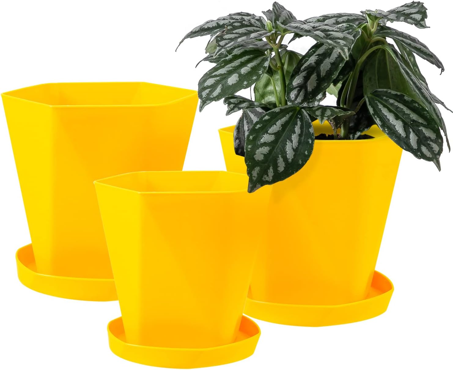 Sun-E – Macetas para plantas de interior de 7.66.55.1 pulgadas, juego de 3 macetas para exteriores con agujeros de drenaje y platillos, idea de