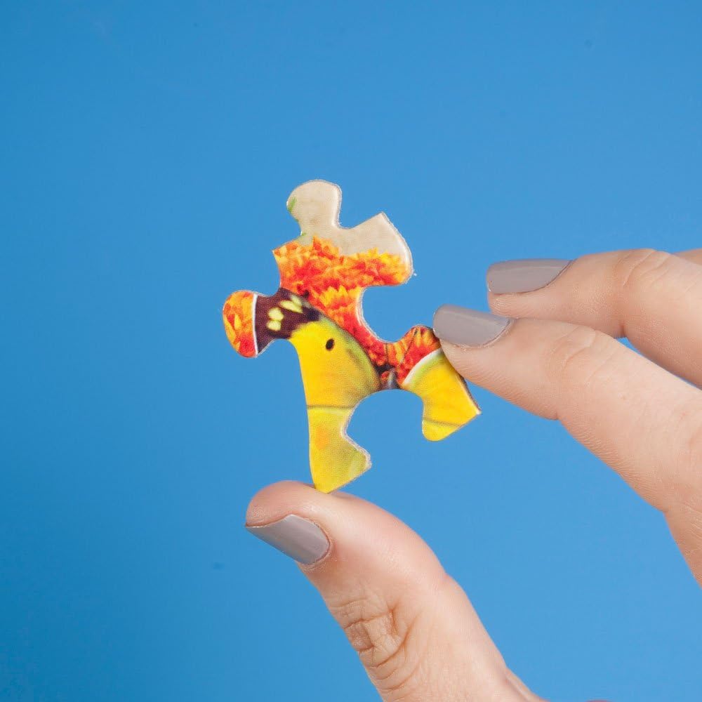 Bits and Pieces – Rompecabezas de 300 piezas para adultos – Rompecabezas de 300 piezas grandes de Puddle Jumpers por el artista John Sloane – 18 x