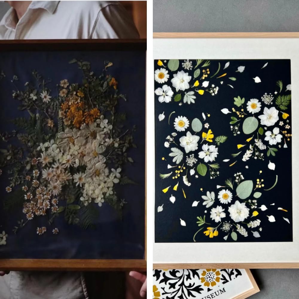 Buzidao Flores secas prensadas, más de 60 piezas de flores prensadas naturales para resina, arte de uñas, álbumes de recortes, velas, tarjeta de