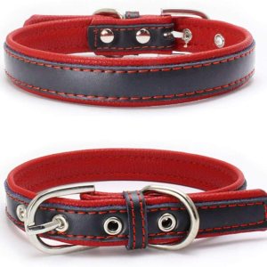 Love Dream Collar acolchado de cuero para perro, 6 colores, collares de cuero ajustable resistente para perros pequeños, medianos y grandes (XCH Love Dream Collar acolchado de cuero para perro, 6 colores, collares de cuero ajustable resistente para perros pequeños, medianos y grandes (XCH