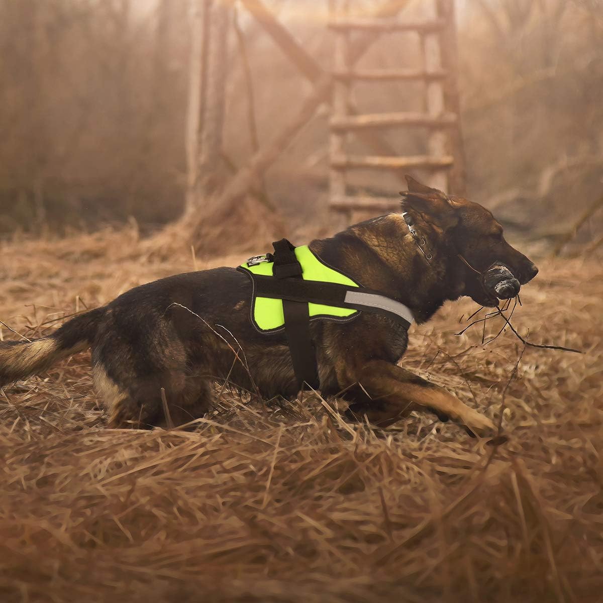 Bolux – Arnés para perro, reflejante y transpirable, ajustable, con asa, para sacarlo a pasear, no más tirones ni asfixia (verde, tamaño XG)