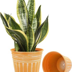vensovo Macetas rústicas de metal naranja de 7 pulgadas, 2 macetas medianas galvanizadas con orificio de drenaje y tapón de goma, macetas de metal vensovo Macetas rústicas de metal naranja de 7 pulgadas, 2 macetas medianas galvanizadas con orificio de drenaje y tapón de goma, macetas de metal