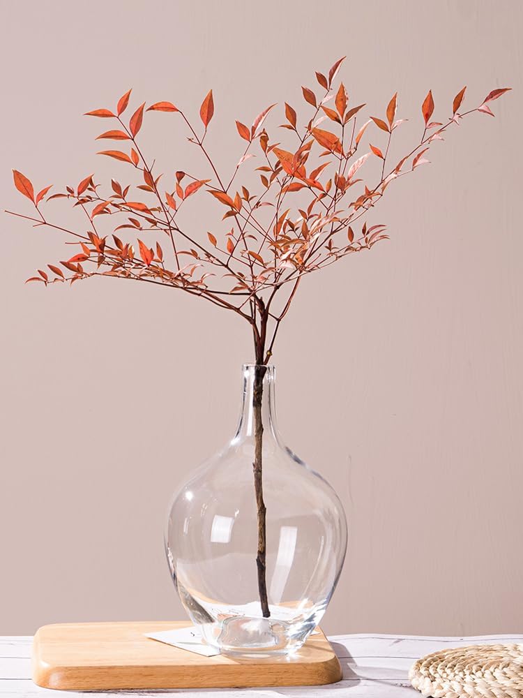 Jarrón grande de 7.9 pulgadas, florero de vidrio transparente, florero decorativo para sala de estar, jarrón de piso de vidrio, jarrón moderno para