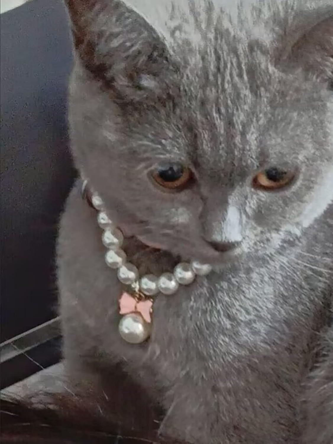 QWINEE Elegante collar de perlas para perro y gato con bonito colgante de pajarita para gato, cachorro, pequeño, mediano, grande, collar de boda,