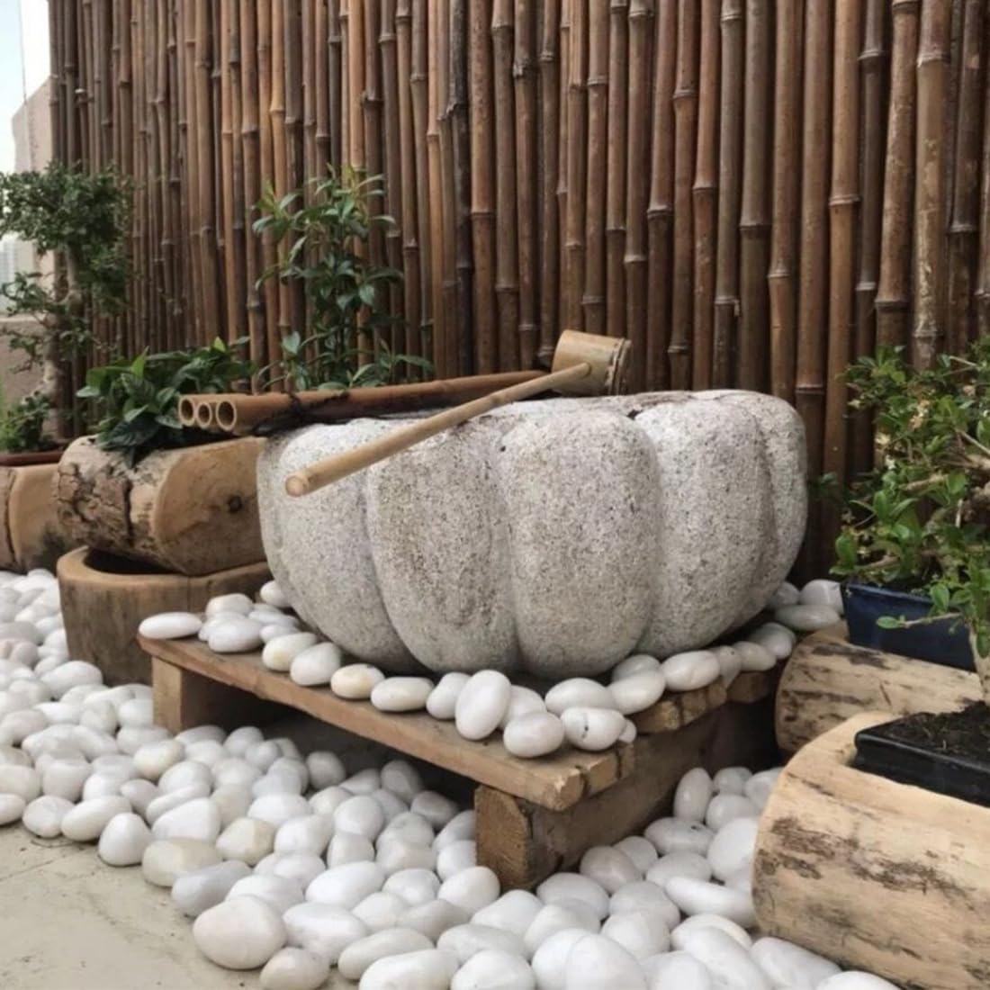Rocas blancas de río de 40 libras para paisajismo, guijarros naturales de 2 a 3 pulgadas para plantas de interior, piedras decorativas altamente