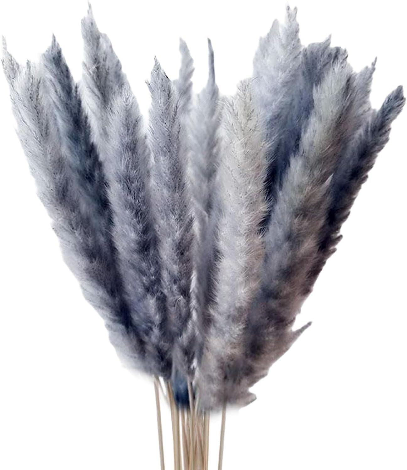 Ramo de hierba de pampa seca de 15 Uds. Hierba artificial de las pampas Hierba Natural de la Pampa Arreglo de flores para la decoración del hogar de