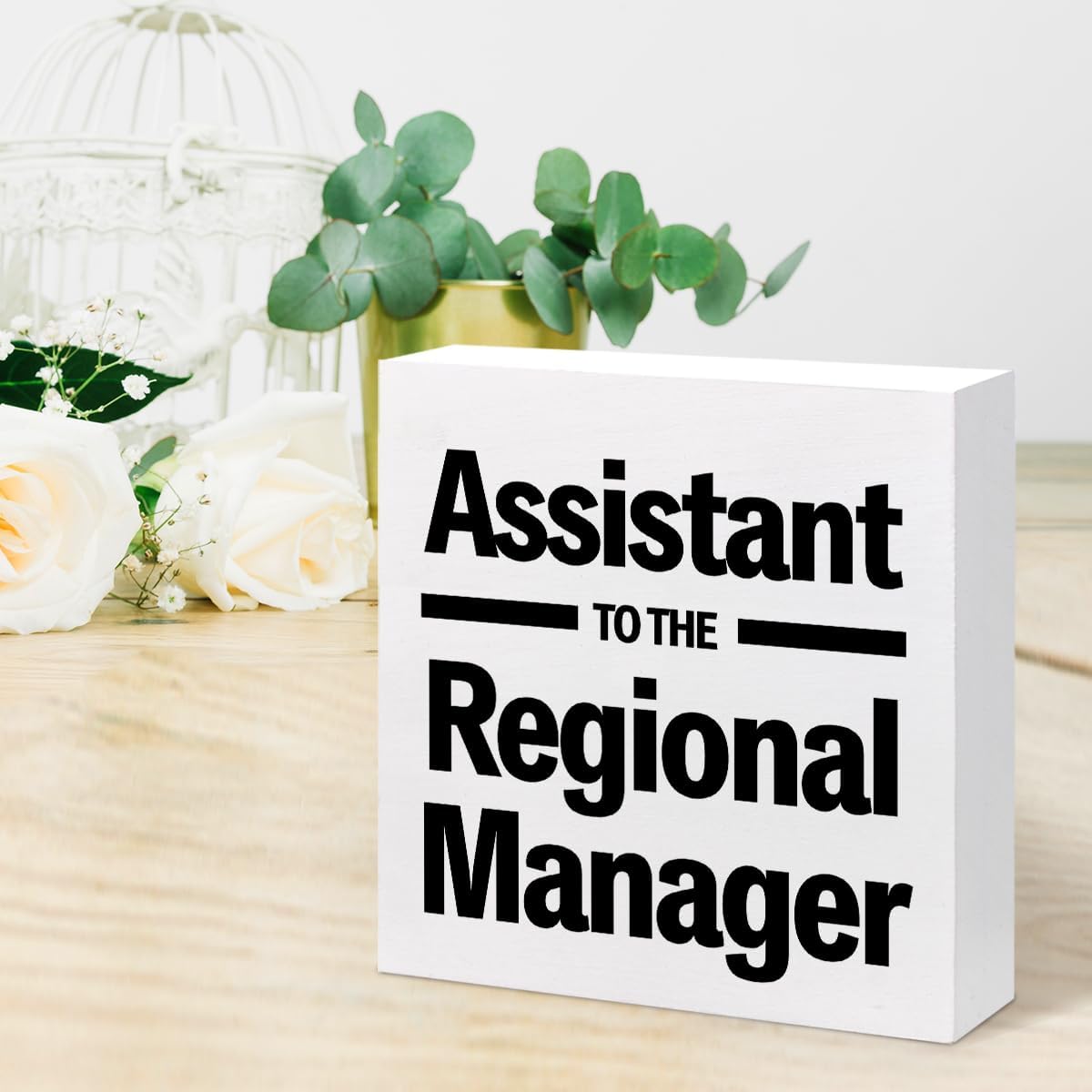 Letrero de madera con texto en inglés “Assistance to the Regional Manager” para decoración de escritorio, divertido humor, caja de madera, placa,