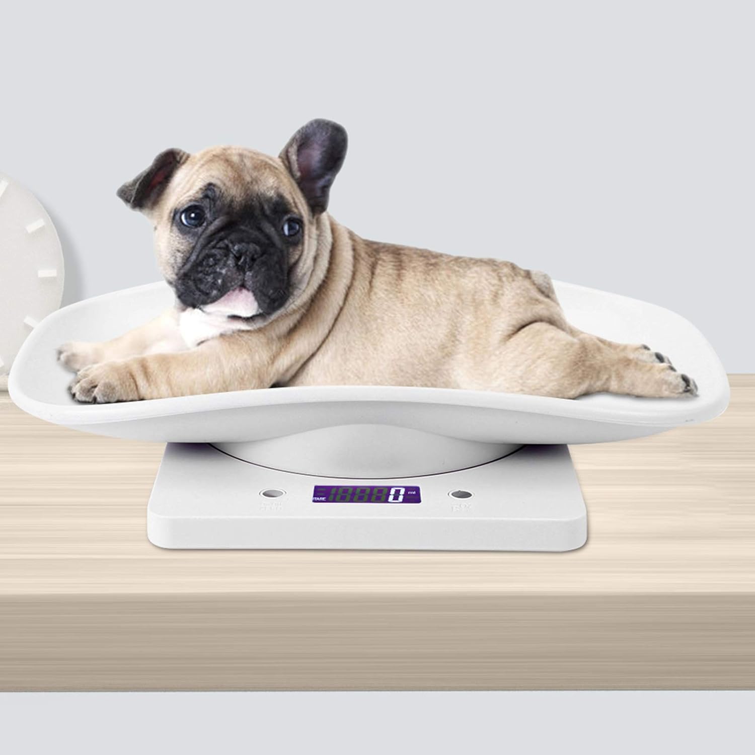 Básculas digitales para mascotas, mini pantalla LCD de 22.0 lbs0.04 oz, básculas electrónicas para medir el peso corporal de las mascotas, básculas