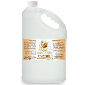 Bella Terra Oils Agua de Azahar (Neroli Hydrosol)  1 galón, refrescante para la piel radiante, aroma natural, revitaliza y brilla Bella Terra Oils Agua de Azahar (Neroli Hydrosol)  1 galón, refrescante para la piel radiante, aroma natural, revitaliza y brilla