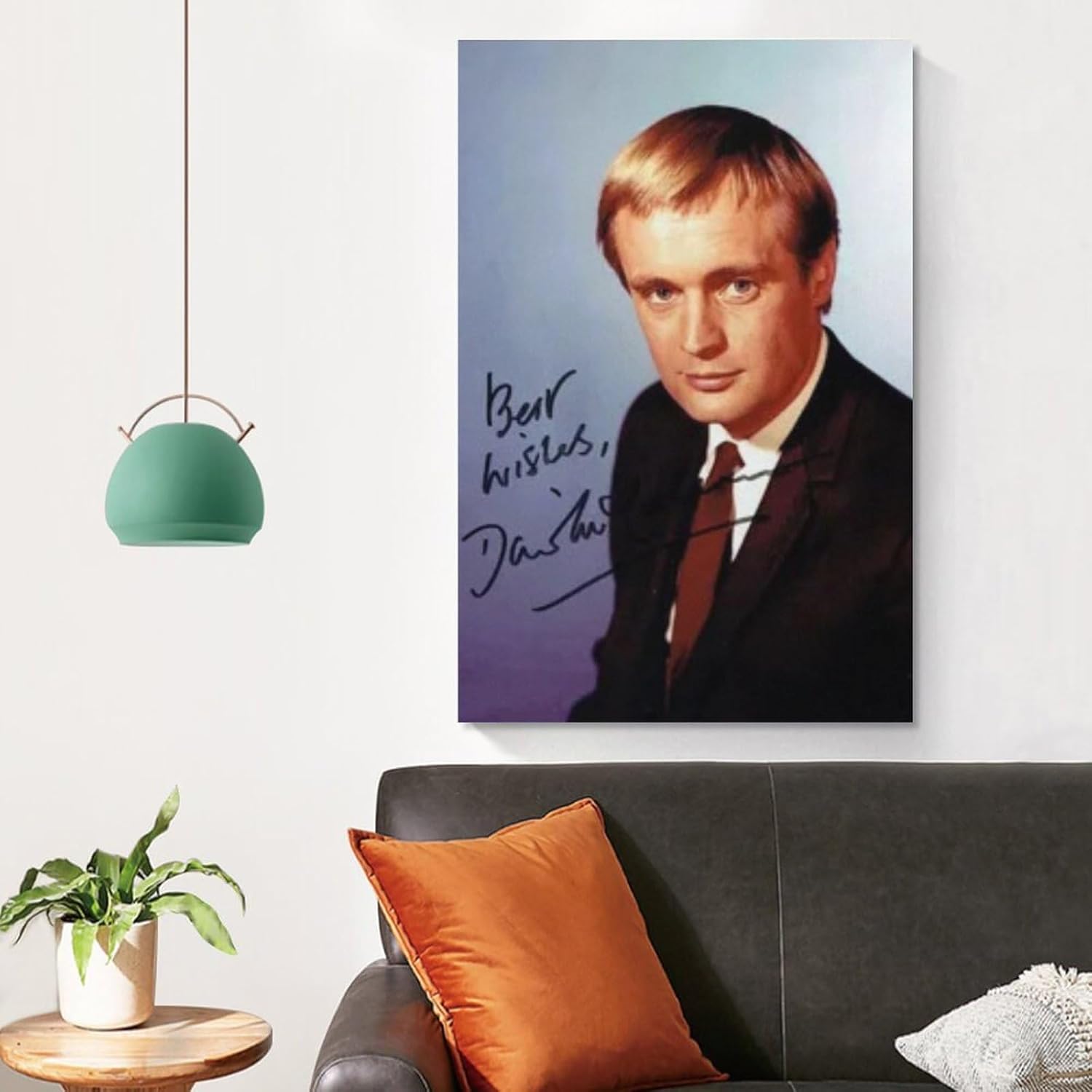 Póster de David McCallum (31) impresión de imágenes de arte de pared, póster de lienzo, obras de arte, idea de regalo, estética, 16 x 24 pulgadas