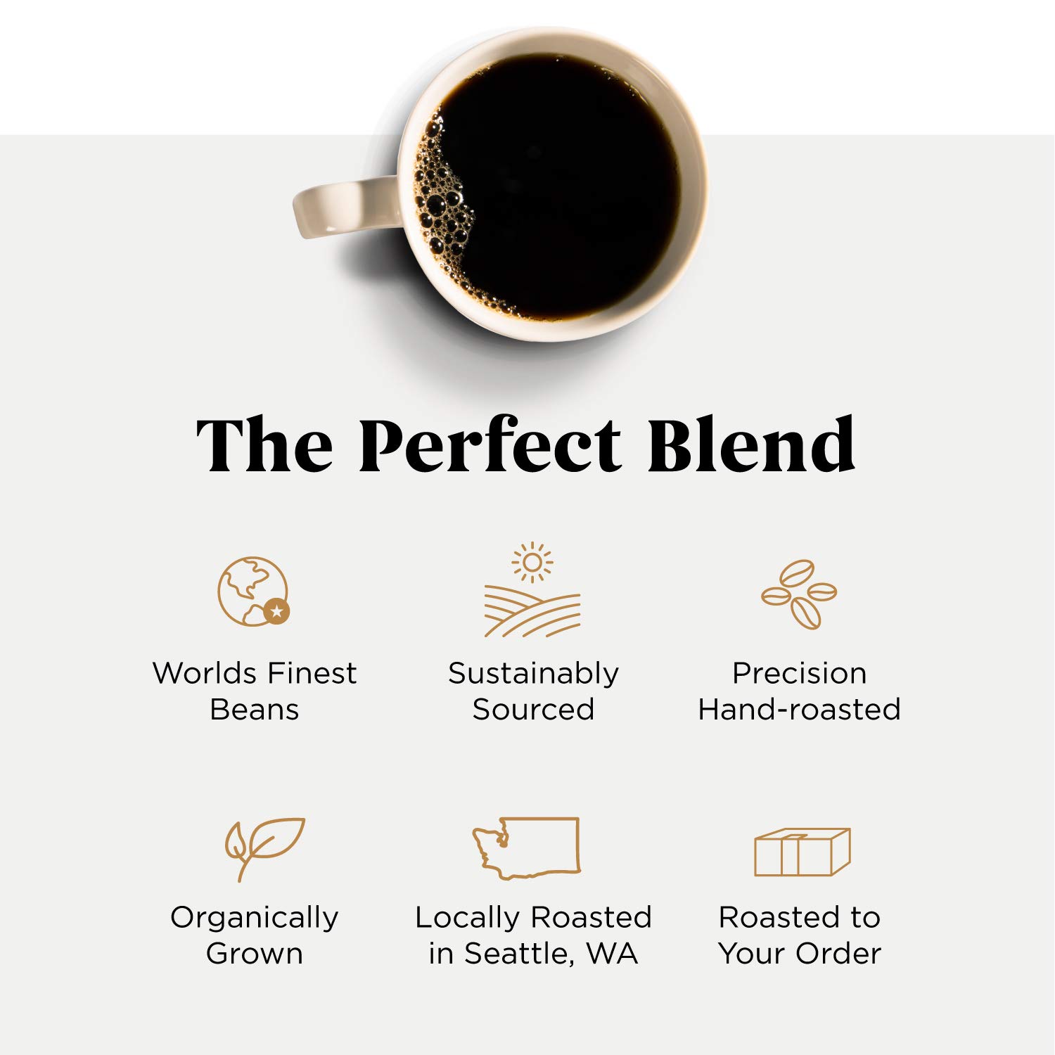 Storyville Coffee Prologue Blend  Granos de café tostados frescos de grano entero prémium tostado medio  8 onzas