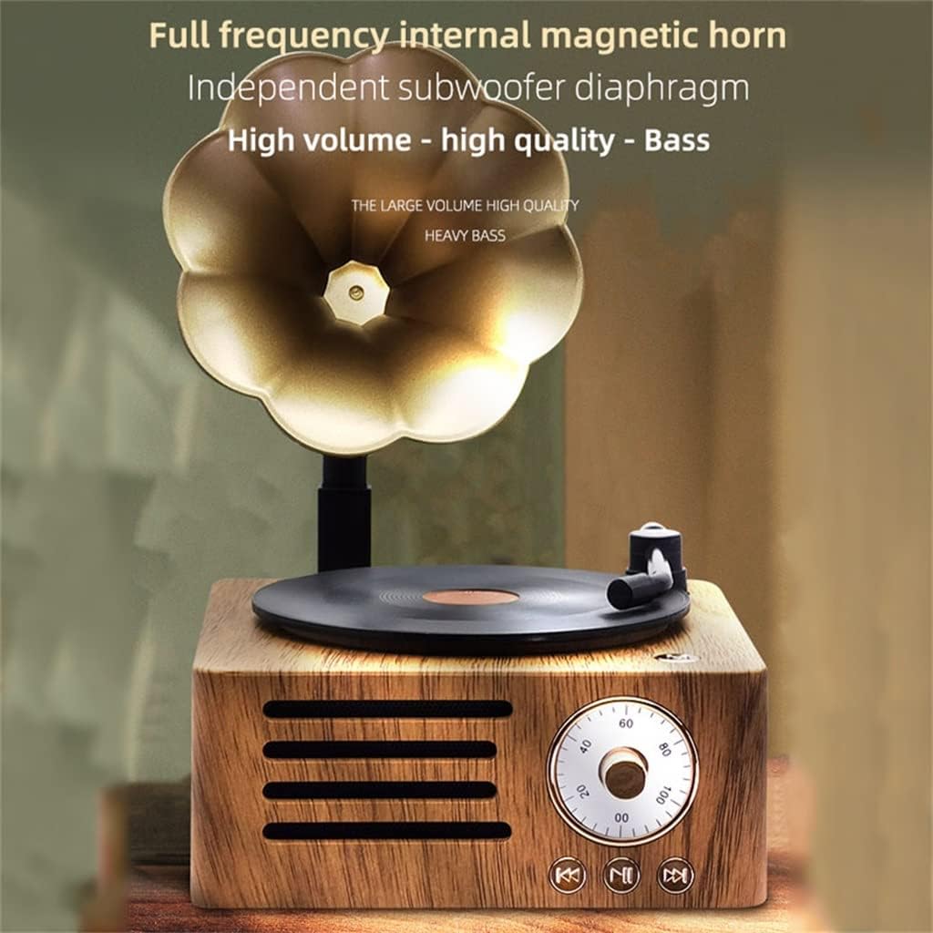 Retro Radio Portátil Mini FM Altavoz MP3 Música Caja Vintage Reproductor de discos