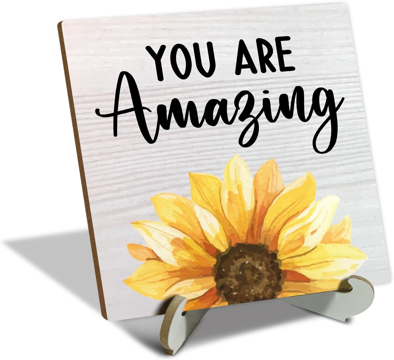 You are Amazing Regalos para mujeres, regalo de graduación para hija, hermana, mejor amiga, placa de decoración de escritorio con soporte de madera,