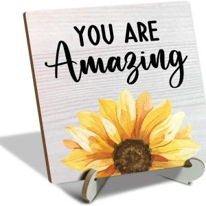 You are Amazing Regalos para mujeres, regalo de graduación para hija, hermana, mejor amiga, placa de decoración de escritorio con soporte de madera, You are Amazing Regalos para mujeres, regalo de graduación para hija, hermana, mejor amiga, placa de decoración de escritorio con soporte de madera,