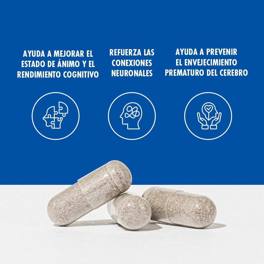 Santo Remedio Memoria, refuerzo de la salud cerebral, ayuda a fortalecer las conexiones neuronales, ayuda a mejorar la atención, la memoria y la