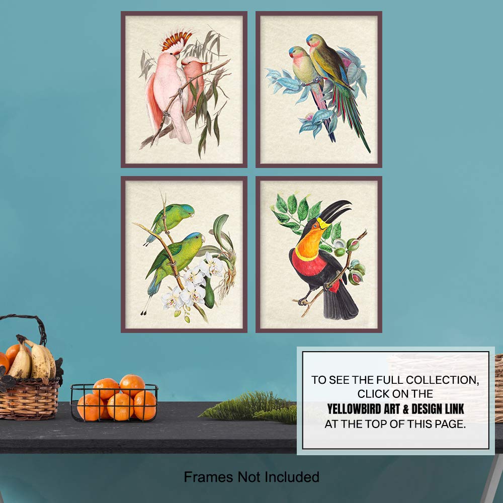 Bird Wall Art – Bird Wall Decor – Tropical Wall Decor – Tropical Birds – Parrot Decorations – Parakeet, Cockatoo, Lovebird, Toucan Wall Art –