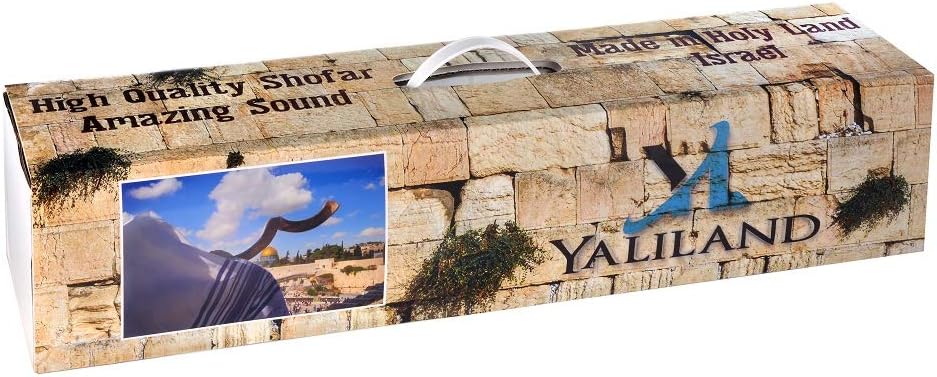 SHOFAR Set Full Natural Kudu Horn Yemenite + Bolsa + Guía + Estuche de transporte (30-32 pulgadas) de Israel