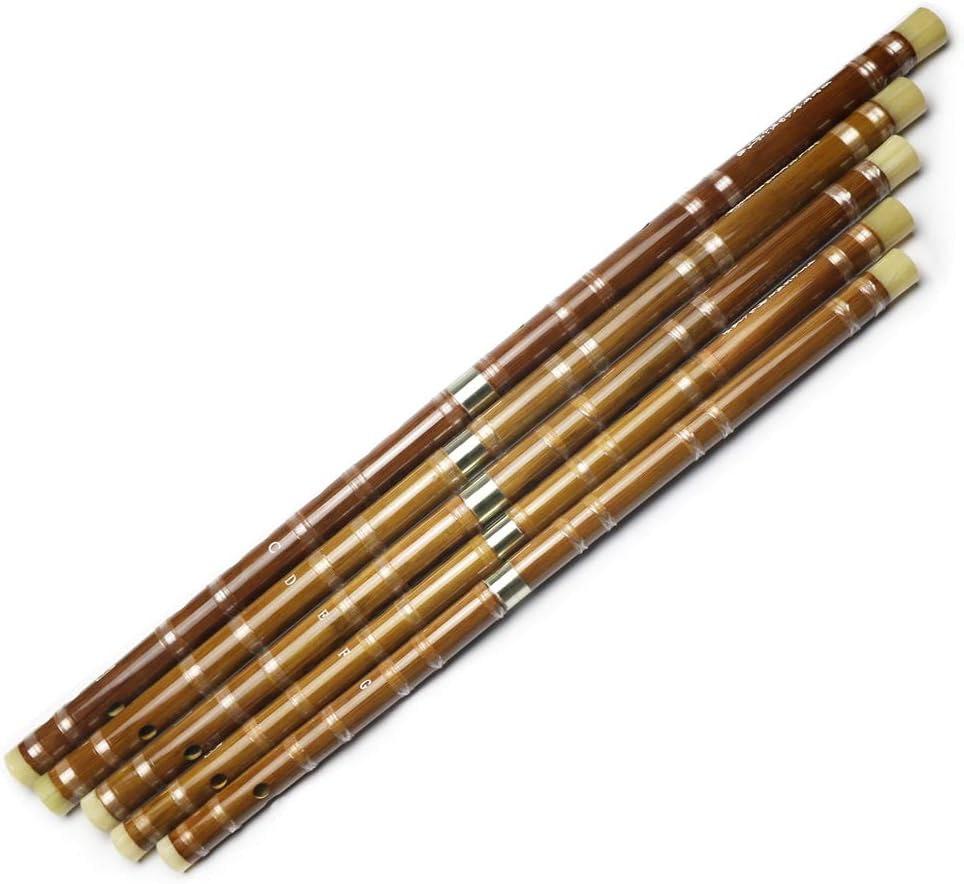Flauta Dizi (clave de C, D, E, F, G), de bambú amargo, negra, para principiantes y profesionales, con juego de membrana, pegamento y protector. Este