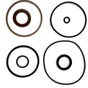 1 juego de reparación de pistón de moldura 5008985 compatible con sello Evinrude ETEC Marine 75-115hp ETEC 2006-2020 FSM016 1 juego de reparación de pistón de moldura 5008985 compatible con sello Evinrude ETEC Marine 75-115hp ETEC 2006-2020 FSM016