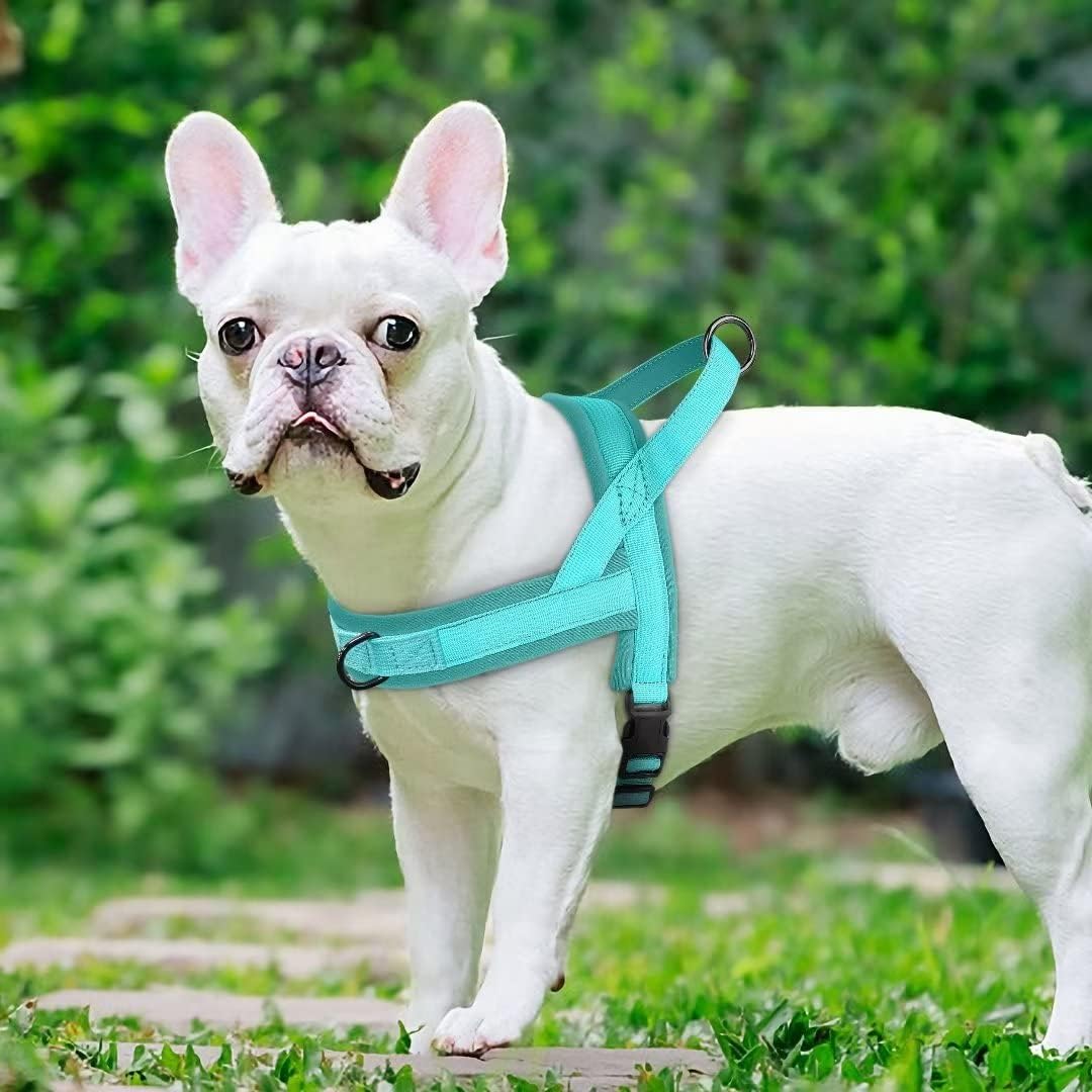 Beirui Arnés sin tirones para perros pequeños y medianos, arnés de neopreno suave de ajuste rápido con clip frontal duradero y clip trasero, ligero