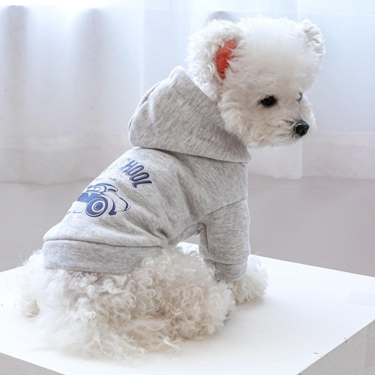 Sudadera con capucha para perro, suéter elegante con estampado para clima frío, abrigo cálido para mascotas, abrigos para clima frío, ropa para
