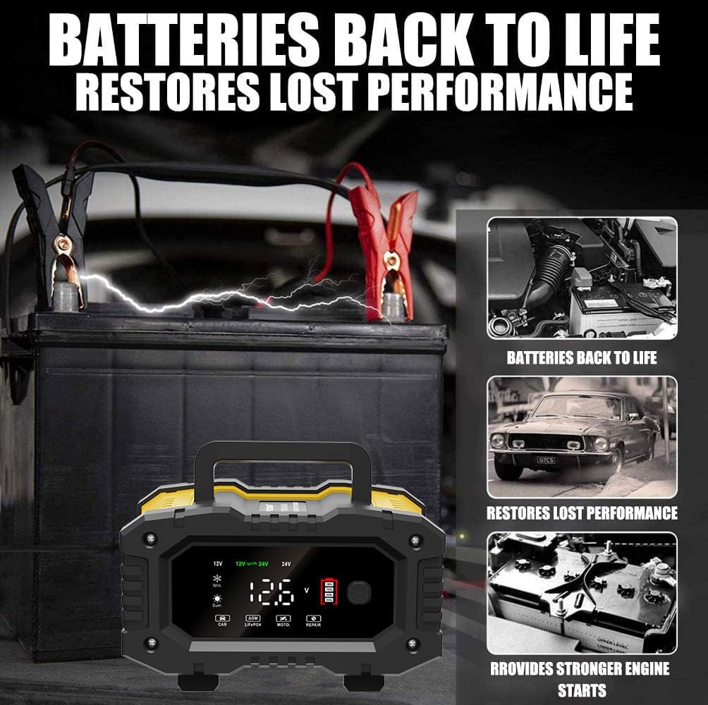 Cargador de batería de coche de 10 amperios, LiFePO4plomo-ácido de 12 V y 24 V (AGMGelSLA..) Cargador de batería automotriz, mantenedor de batería,