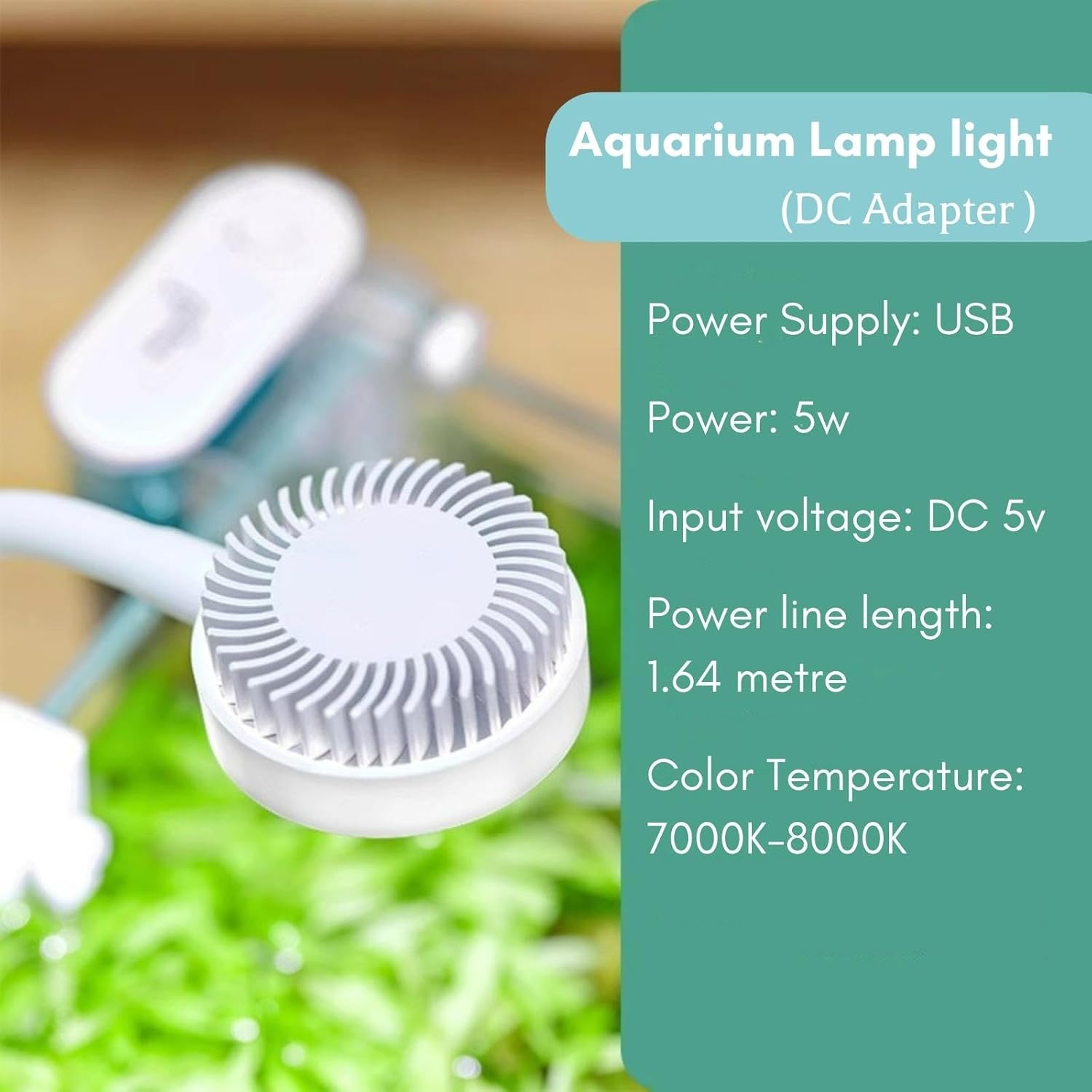 Kit de iniciación para pecera, tanque de vidrio para acuario de 1.2 galones, LWH  6.3 x 6.3 x 8.6 pulgadas, filtro Slient de 60 GPH y lámpara LED de
