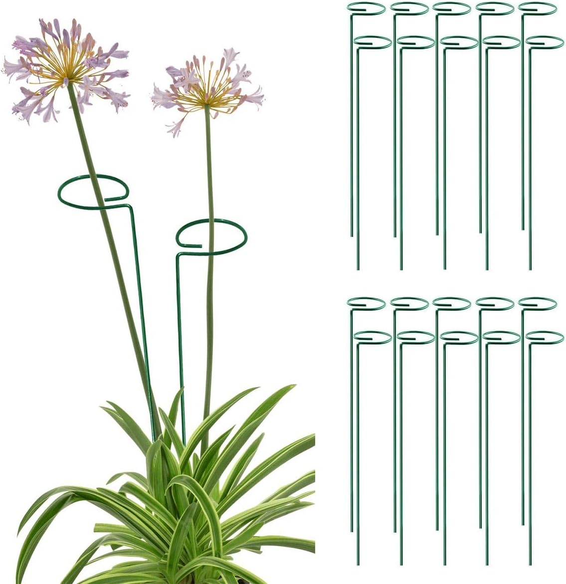 MTB Green – Juego de 20 estacas de soporte para plantas de un solo tallo de 18 pulgadas, paquete de 20 estacas de soporte para plantas, aros de