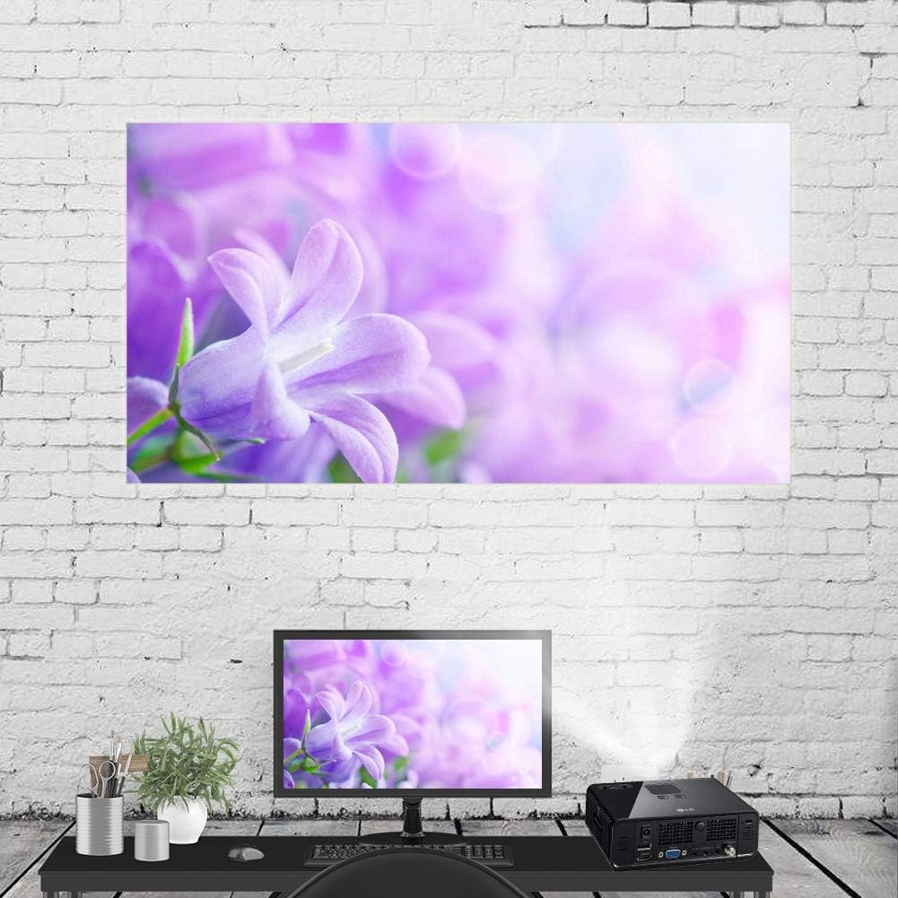 QANYEGN Pantalla de proyección blanca de 60 a 120 pulgadas, pantalla de cine plegable sin arrugas 169, pantalla de película HD portátil para cine en
