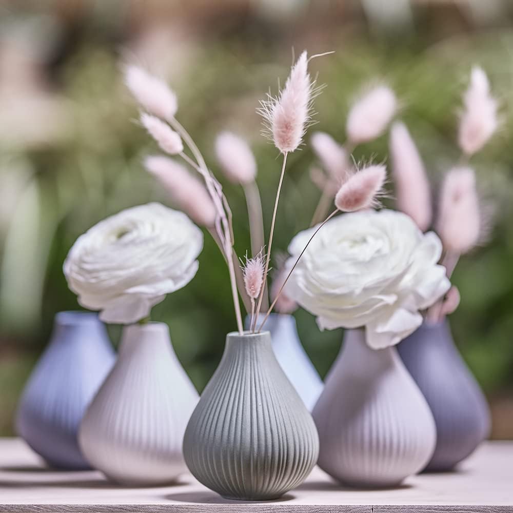 Chive Jarrón de cerámica ‘Frost’ – Juego de 6 hermosos jarrones pequeños para flores y plantas de casa, centros de mesa perfectos para estantes y