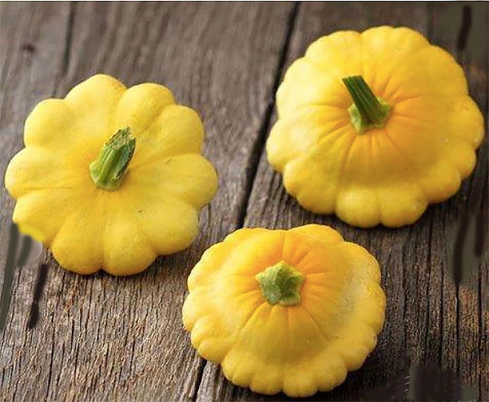 Semillas de calabaza dulce de albóndigas – Aproximadamente 30 semillas