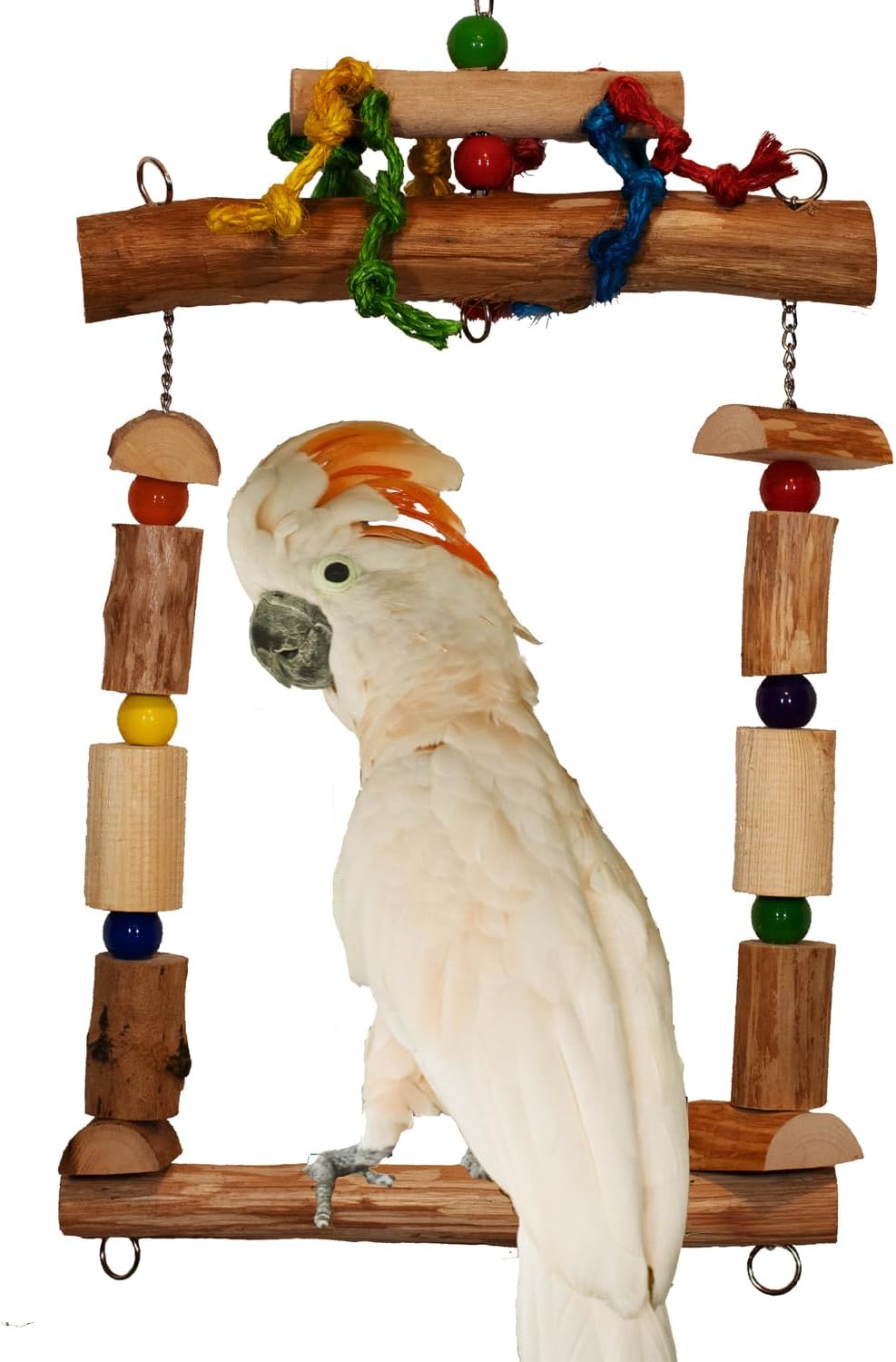 Super Bird Creations SB1159 Mega Swing Bird Toy – Columpio de ejercicio y enriquecimiento para amazonas, grises africanos, eclectos, cacatúas,