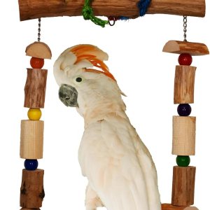 Super Bird Creations SB1159 Mega Swing Bird Toy – Columpio de ejercicio y enriquecimiento para amazonas, grises africanos, eclectos, cacatúas, Super Bird Creations SB1159 Mega Swing Bird Toy – Columpio de ejercicio y enriquecimiento para amazonas, grises africanos, eclectos, cacatúas,