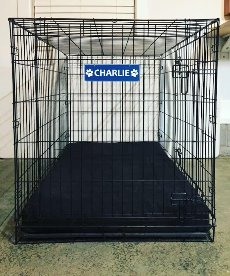 Placa de identificación personalizada con placa de identificación para perros