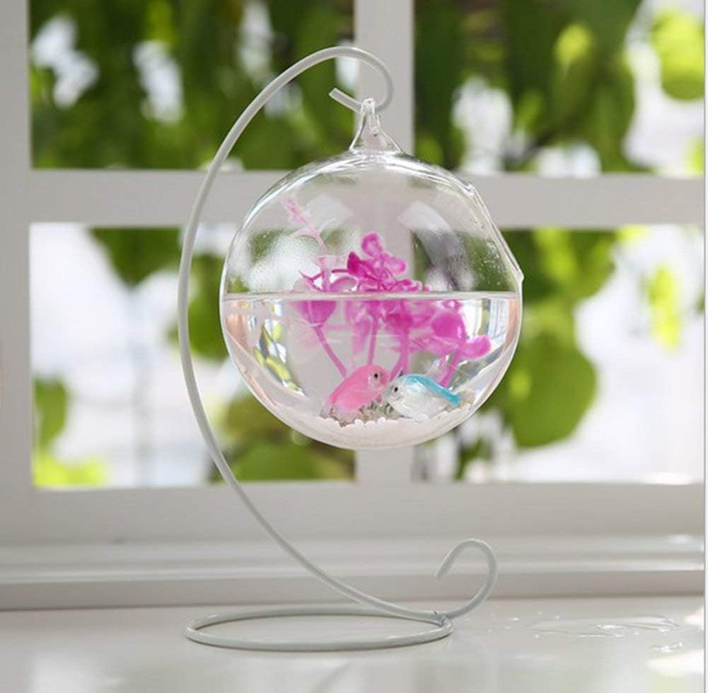 Artliving Paquete de 6 soportes de exhibición de adornos, soporte colgante de hierro blanco para colgar globo de vidrio, plantas de aire, terrario,