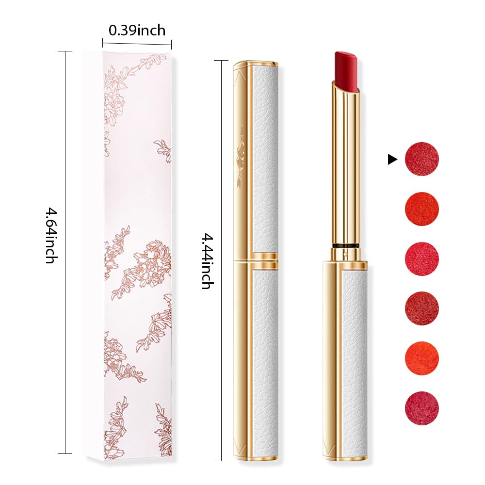 BINGBRUSH Juego de lápices labiales de terciopelo hidratante y sedoso, mate, de larga duración, impermeable, de color liso, lápiz labial nutritivo