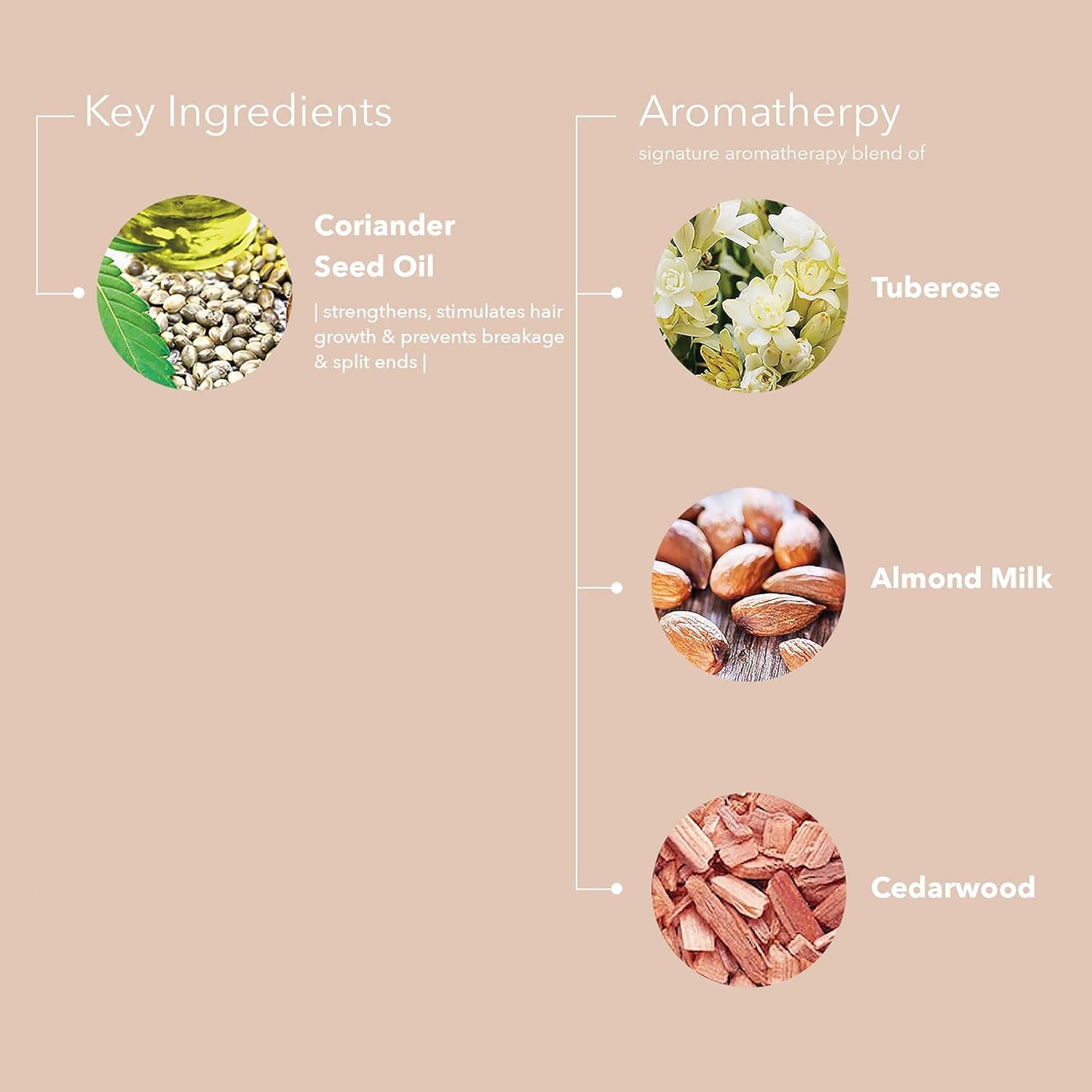 Pureology Suero para domar el cabello con estilo + protección brillante y sin peso  combate el encrespamiento  vegano