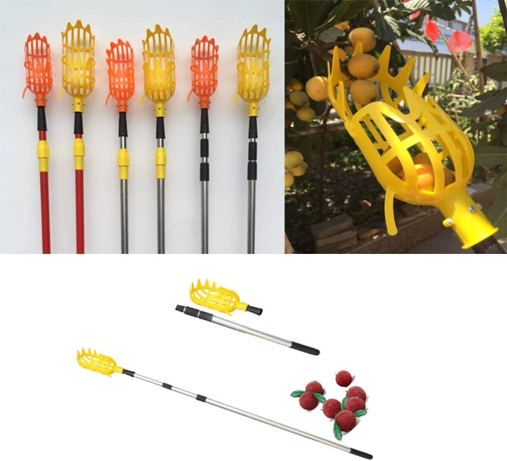 Hemoton 2 unids Recogedor de Frutas Stick Acero Inoxidable Tuercas Recogedor de Frutas Cesta Recolector de Frutas Herramienta Recogedor de Frutas