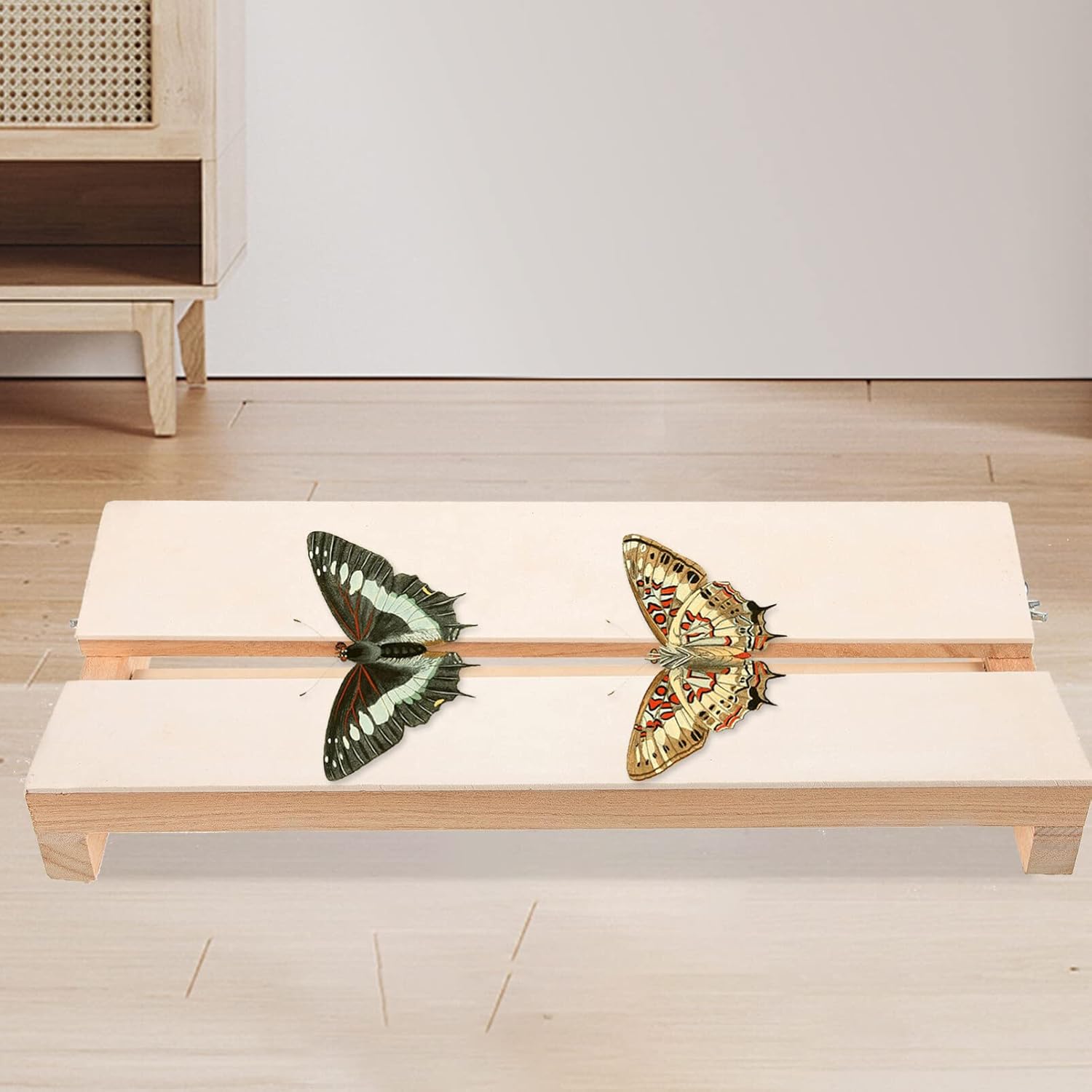 Tablero de difusión de montaje de mariposa Tablero de visualización Tablero de fijación de espécimen Tabla de difusión para educación científica