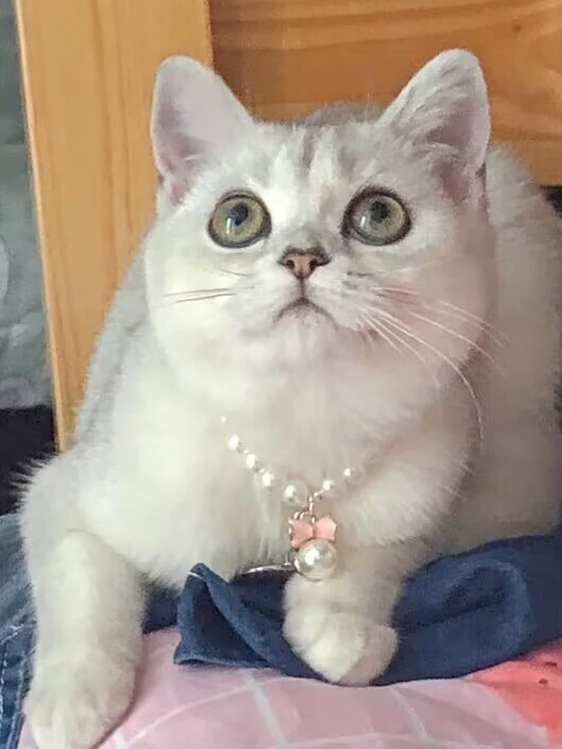QWINEE Elegante collar de perlas para perro y gato con bonito colgante de pajarita para gato, cachorro, pequeño, mediano, grande, collar de boda,