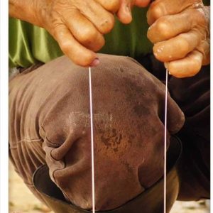 Single-Gang Blank Wall Plate Cover – The Field Nature India Quindio Colombia Single-Gang Blank Wall Plate Cover – The Field Nature India Quindio Colombia