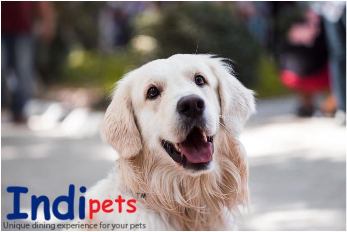 Cuenco de acero inoxidable para perros con medición de capacidad, grande, 64 onzas, marca de volumen, sin punta, plato antideslizante