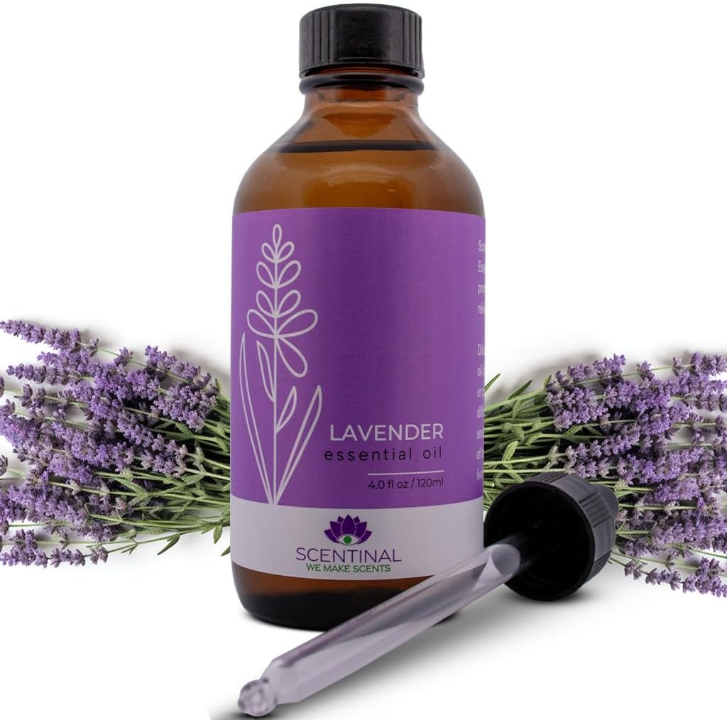 Aceite esencial de lavanda Scentinal  100% puro, natural y sin diluir  Botella extragrande de 4 onzas (4.1 fl oz) con cuentagotas  Experiencia