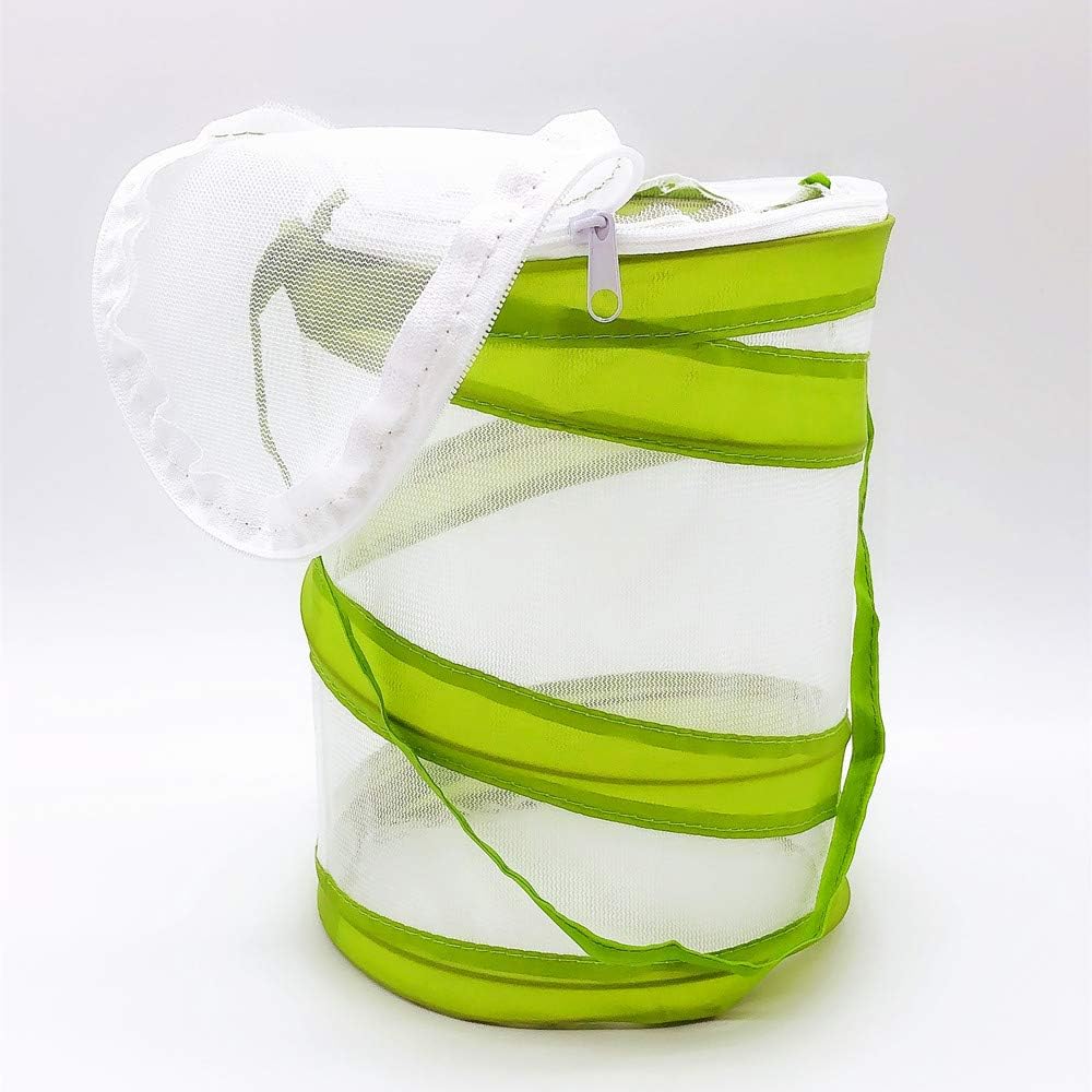 Mini jaula de malla para insectos y hábitat de mariposas y orugas, terrario de insectos emergente de 5.5 x 7 pulgadas de alto para niños