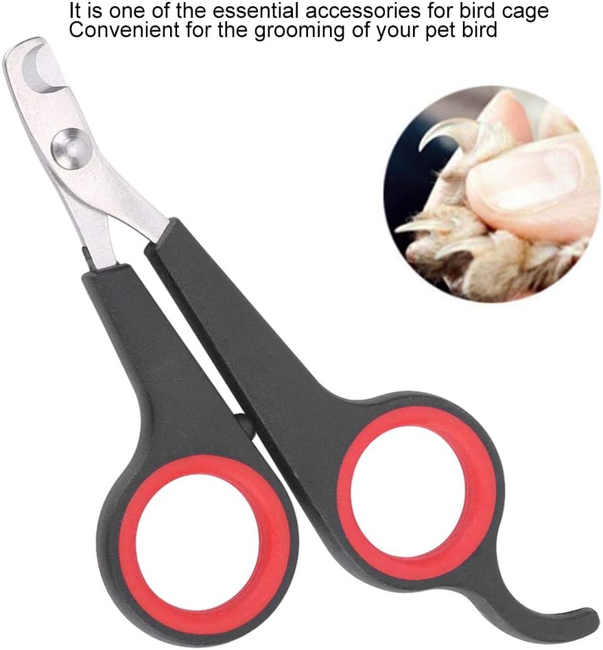 TSYFM Cortaúñas para pájaros, tijeras de uñas de acero inoxidable sólido, tijeras de uñas para pájaros, tijeras para mascotas, pájaros, animales