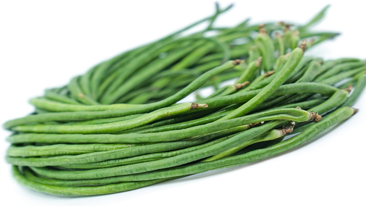 Yard – Semillas de frijol largo, más de 85 semillas, semillas de frijoles largos asiáticos, semillas de frijoles de espárragos, Phaseolus vulgaris,