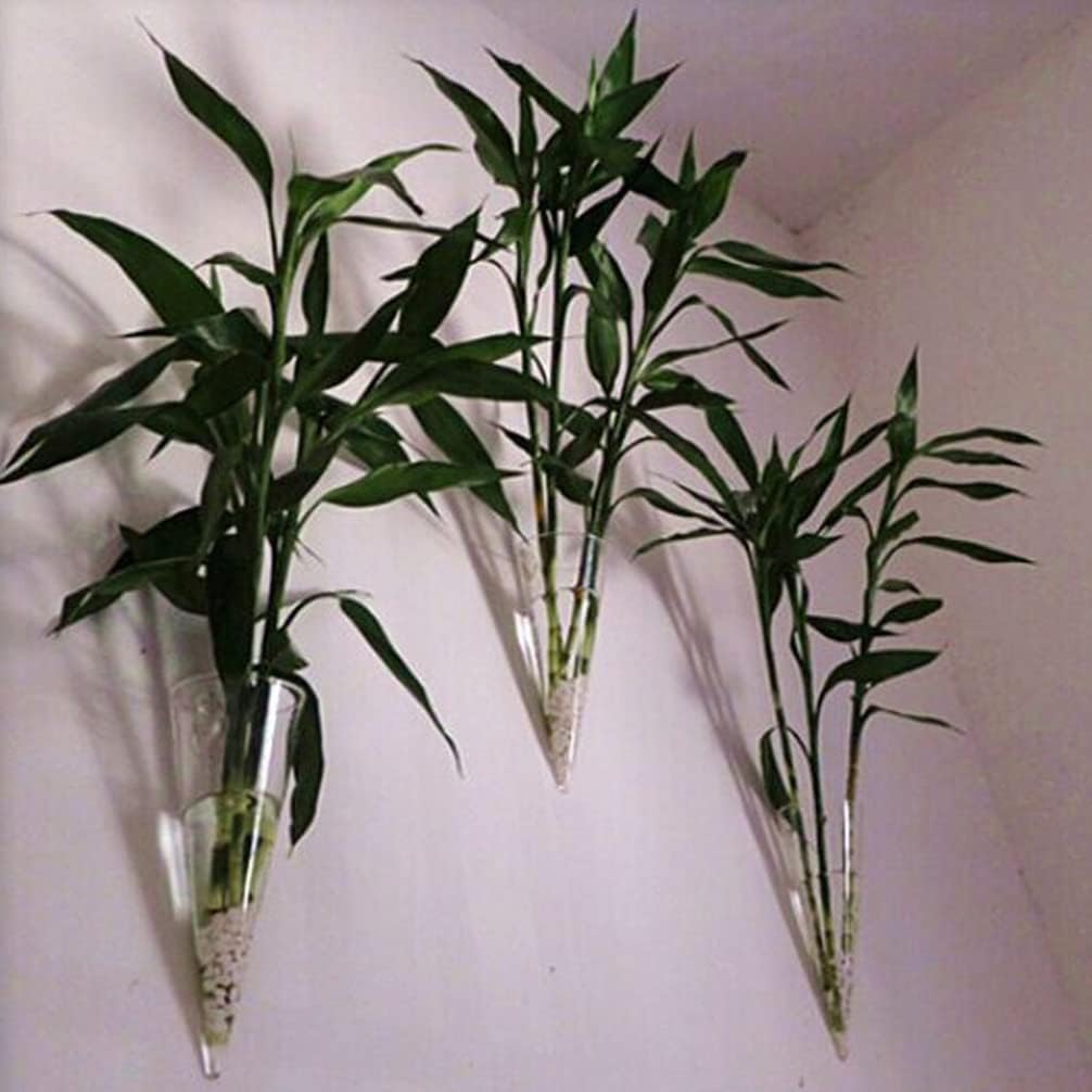 Florero de cristal para colgar en la pared, jarrón de vidrio en forma de cono, maceta suculenta, terrario de vidrio, jarrón de flores, estaciones de