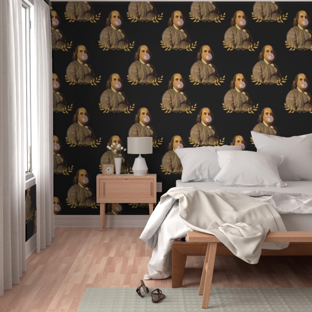 Spoonflower Papel tapiz autoadhesivo de 6 x 2 pies  Benjamin Franklin President Historical Whimsical Bubblegum papel tapiz extraíble personalizado