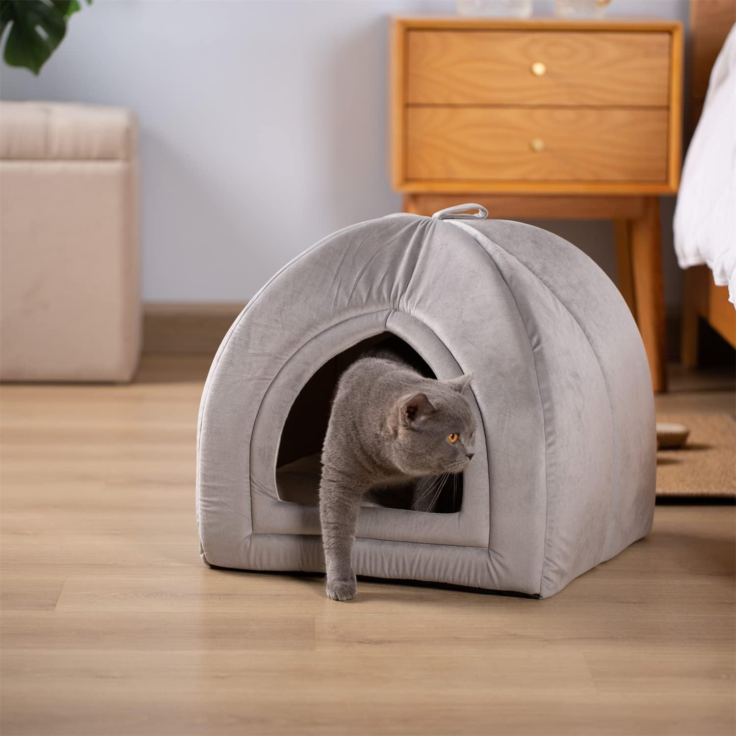 KASENTEX Cama para gatos de interior, cama 2 en 1 para gatos y suministros para mascotas para gatitos y gatos pequeños o perros, cueva de animales,
