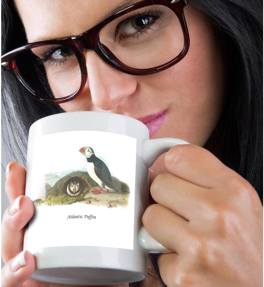 3dRose mug_114078_2 Atlantic Puffin by John James Audubon – Taza de cerámica, 15 onzas